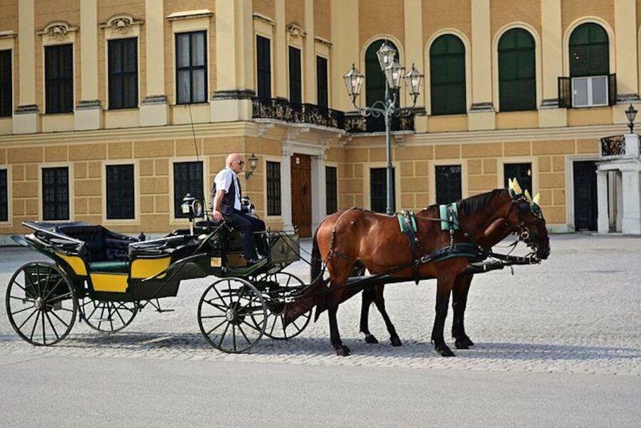 Vienna: Carriage Ride Through Schönbrunn Palace Gardens - Key highlights at a glance