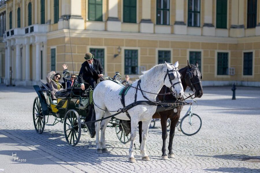 Vienna: Carriage Ride Through Schönbrunn Palace Gardens - Where the ride starts, and why that matters