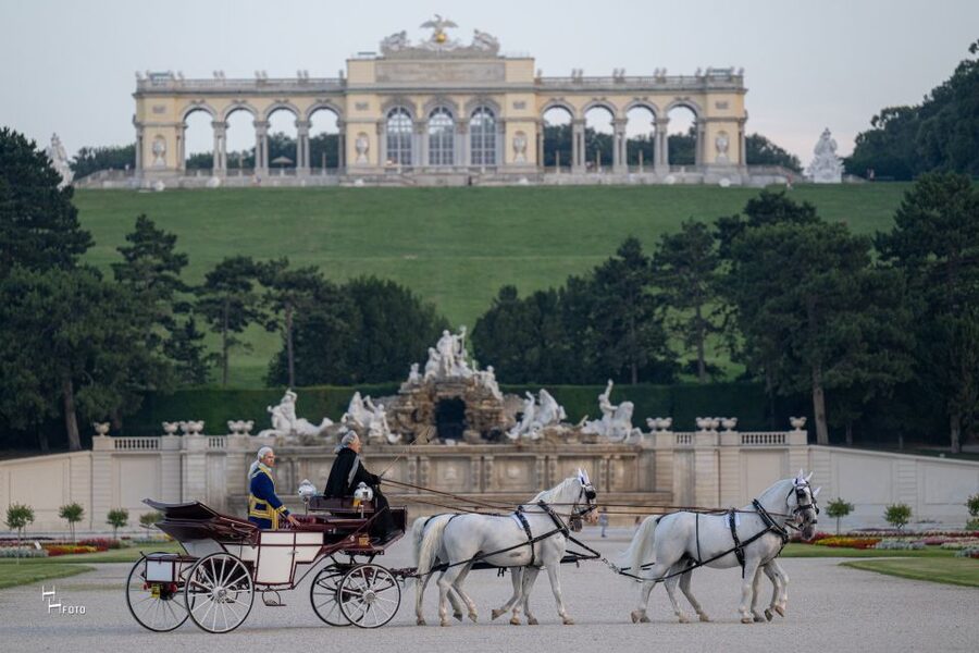 Vienna: Carriage Ride Through Schönbrunn Palace Gardens - Private group comfort, language options, and pace