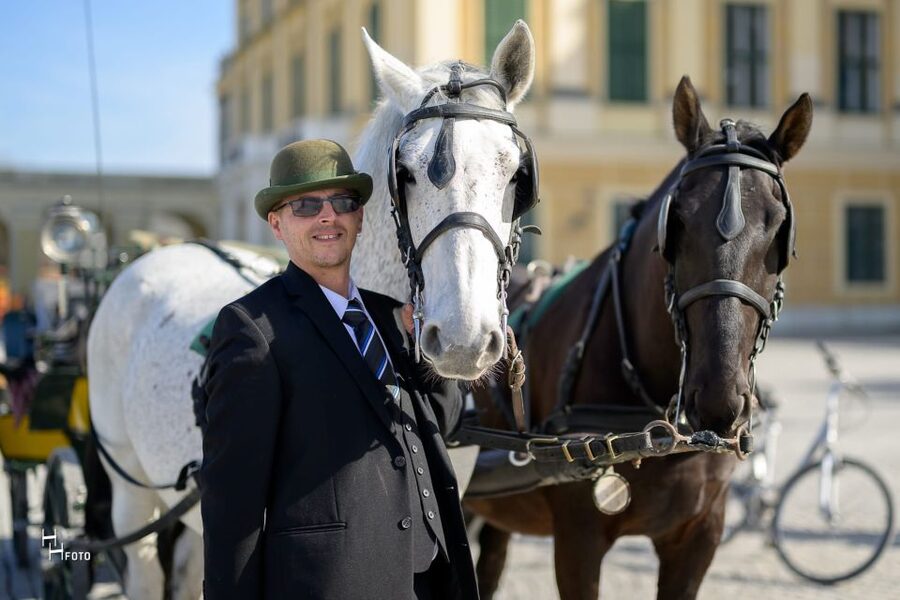 Vienna: Carriage Ride Through Schönbrunn Palace Gardens - Price for a group up to 4, and when it’s a smart buy