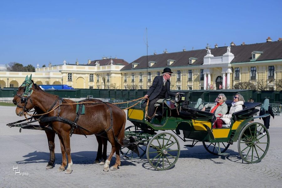 Vienna: Carriage Ride Through Schönbrunn Palace Gardens - Timing, check-in mindset, and what to do before you go