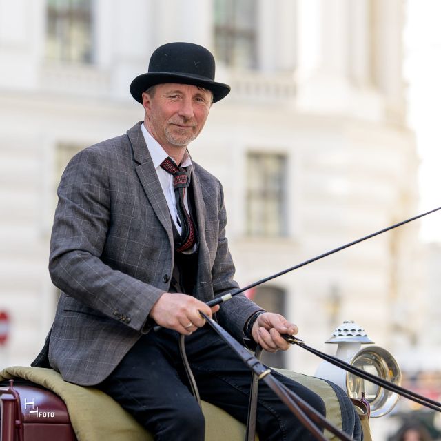 Vienna: Carriage Ride Through Schönbrunn Palace Gardens - Should you book the Vienna carriage ride through Schönbrunn gardens?