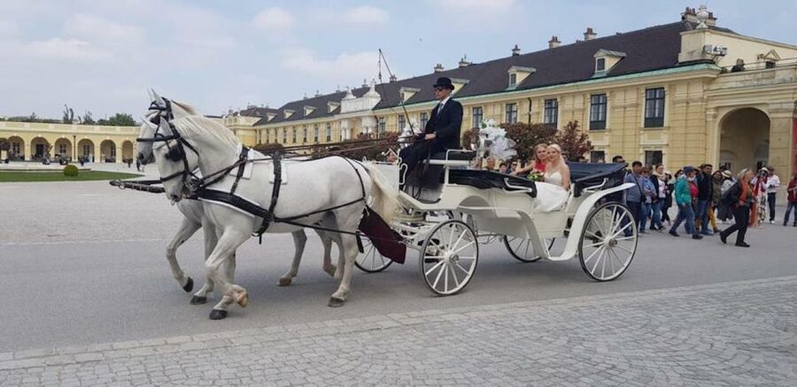 Vienna: Carriage Ride Through Schönbrunn Palace Gardens - Why a horse carriage through Schönbrunn gardens feels like good value