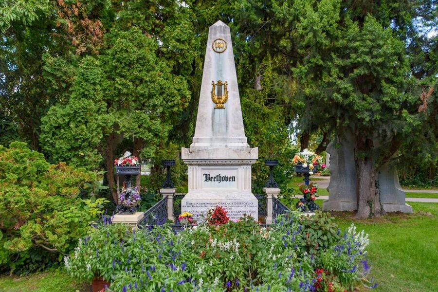 Vienna Central Cemetery Walking Tour with Transfers - Who should book this Vienna Central Cemetery tour