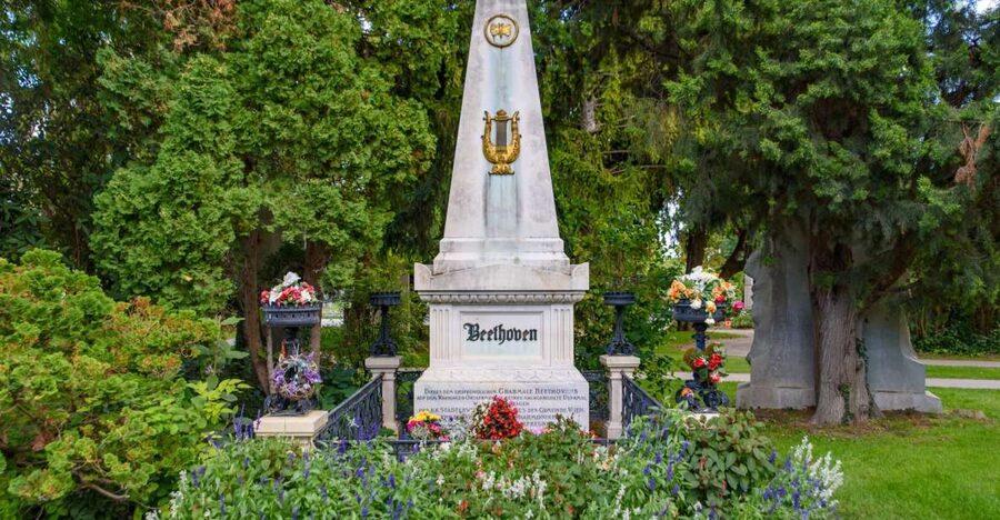 Vienna Central Cemetery Walking Tour with Transfers - Free entry included, so you can focus on the experience