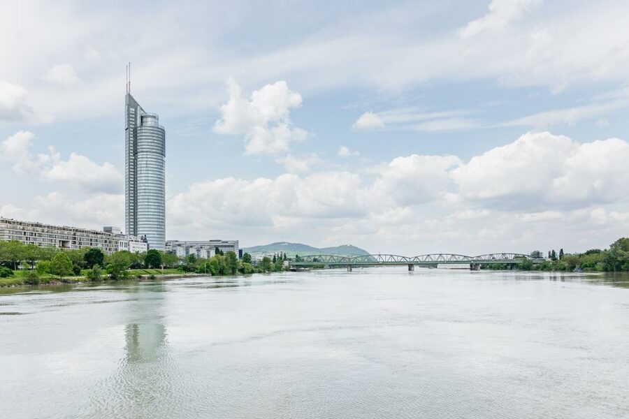 Vienna: City Cruise with Optional Lunch - Price and value: why $38 can feel great, or just okay