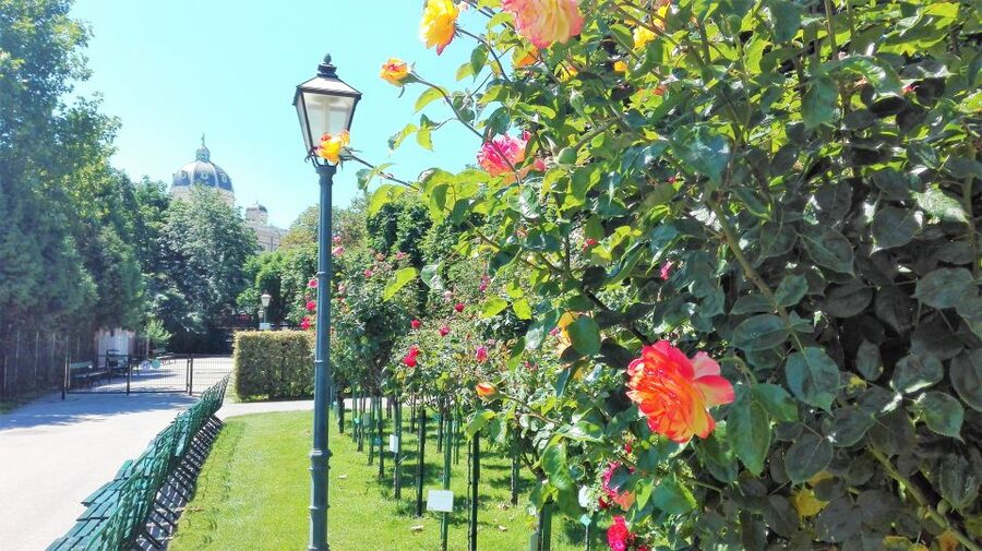 Vienna: City Highlights Guided Walking Tour & Old Town - The Historic Center Part, Where Vienna’s Story Gets Its Backbone
