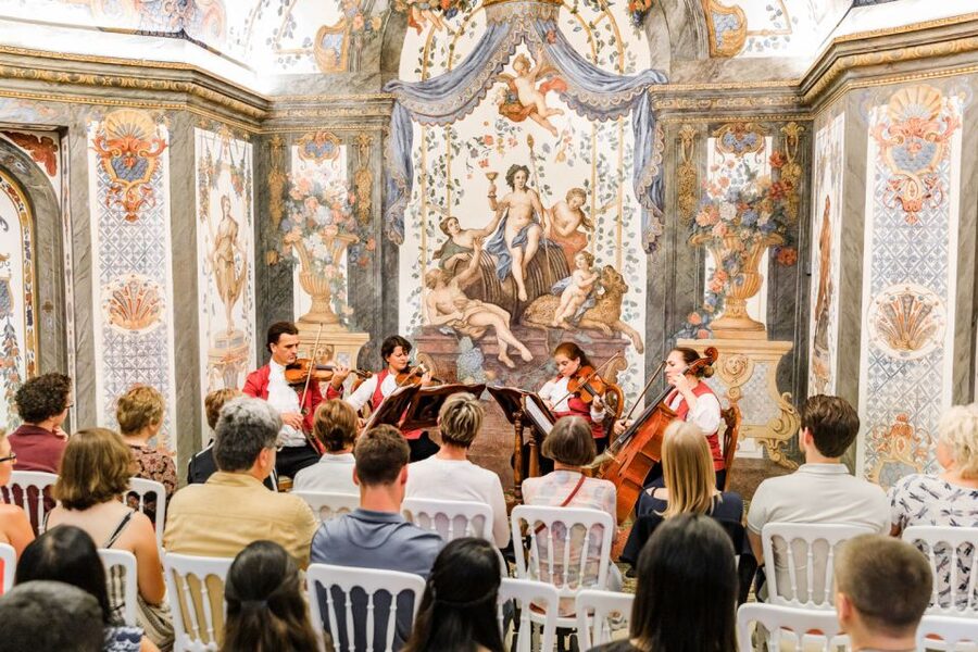 Vienna: Classical Concert at Mozart's First House - Who this Mozarthaus concert fits best