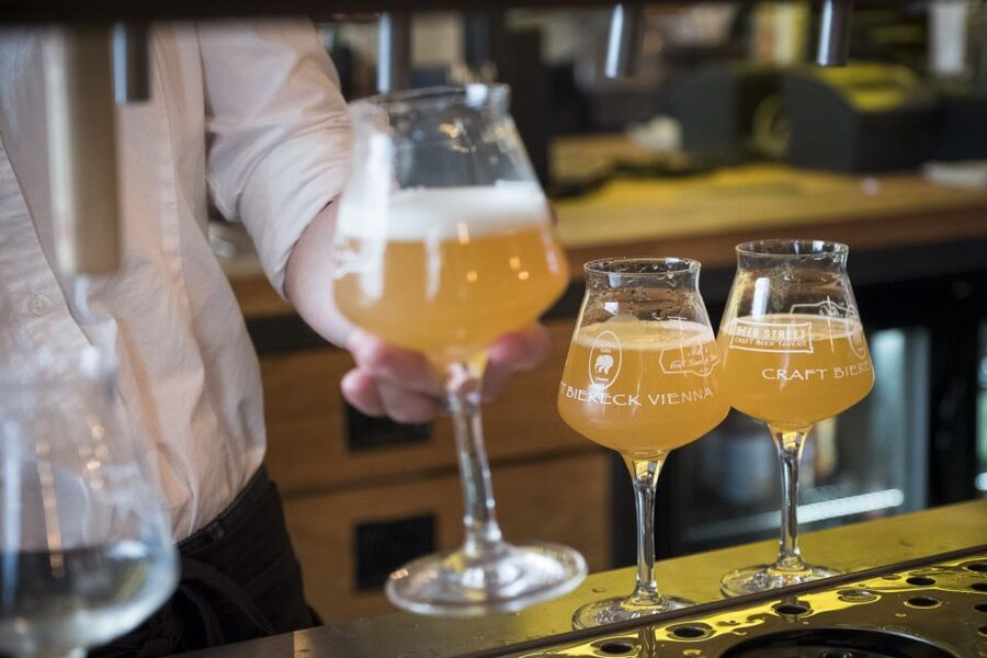 Vienna: Craft Beer Tasting Experience with Local Snacks - Key Points You Should Know Before You Go