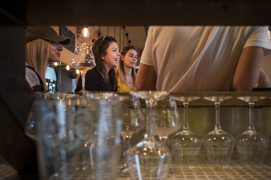 Vienna: Craft Beer Tasting Experience with Local Snacks - Learning How Austrian Beer Is Made, and Why Styles Matter