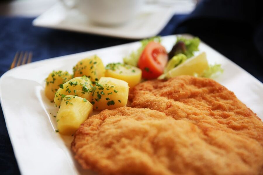Vienna: Cruise and Schnitzel Tour - Price and value: how the $66 ticket really works