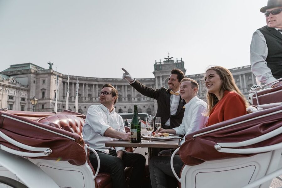 Vienna: Culinary Horse-Drawn Carriage Experience - Food and Drinks: Regional bites plus sparkling wine during the cruise