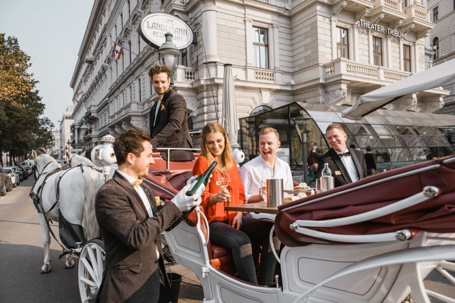 Vienna: Culinary Horse-Drawn Carriage Experience - Stories from the coachman and butler: English and German, plus real character