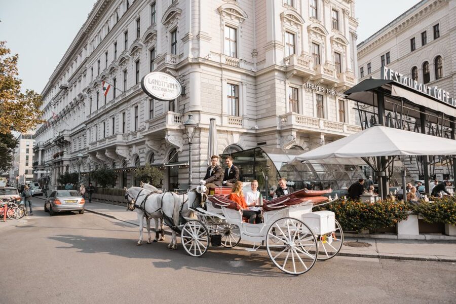 Vienna: Culinary Horse-Drawn Carriage Experience - Who should book this carriage-and-culinary experience?
