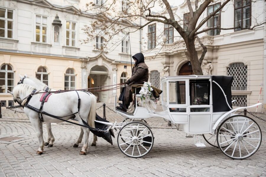 Vienna: Culinary Horse-Drawn Carriage Experience - Should you book? My straightforward take