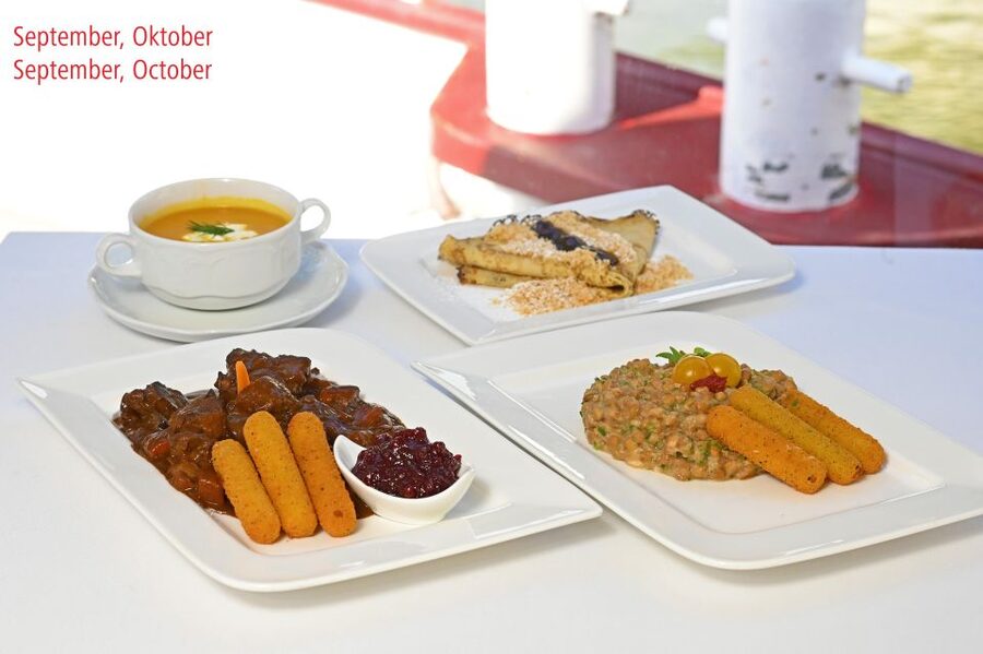 Vienna: Danube River Cruise w/ optional Viennese Specialties - Key Points at a Glance