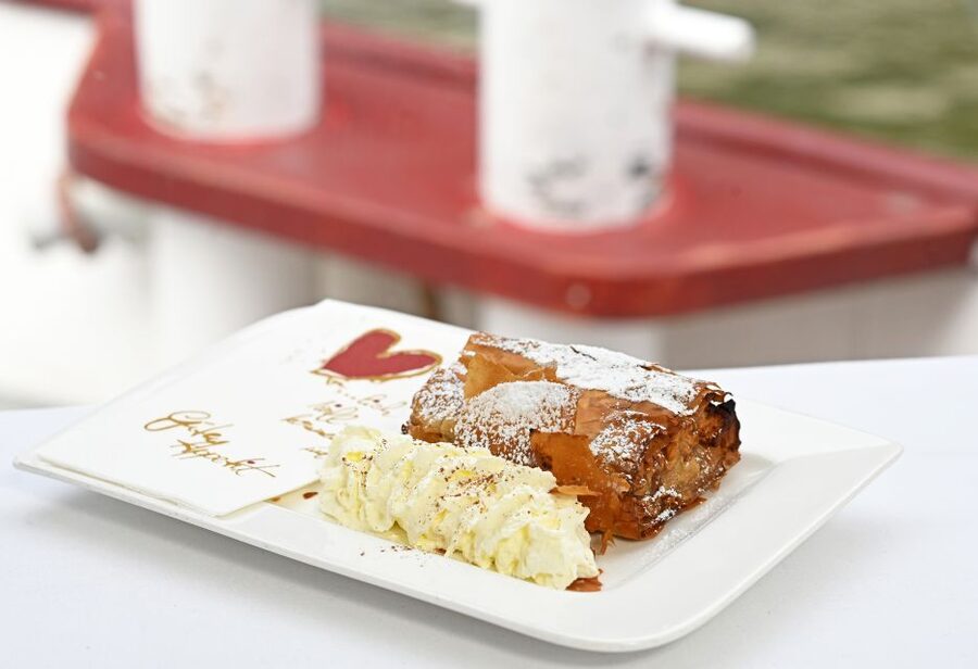 Vienna: Danube River Cruise w/ optional Viennese Specialties - Choosing the Right Route: Schwedenplatz vs Reichsbrücke