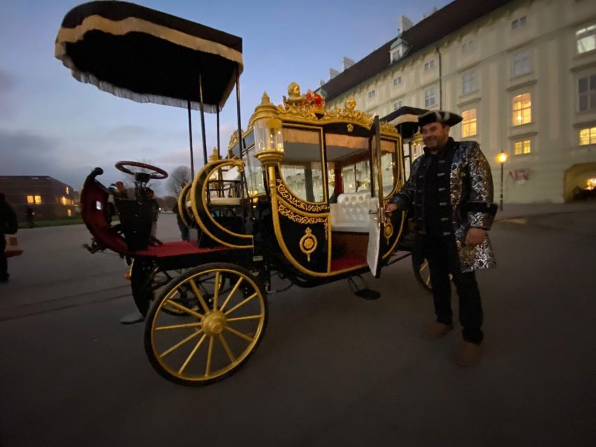 Vienna: Electric-Imperial Carriage Sightseeing Tour - Guide experience and language options: how to pick your comfort level