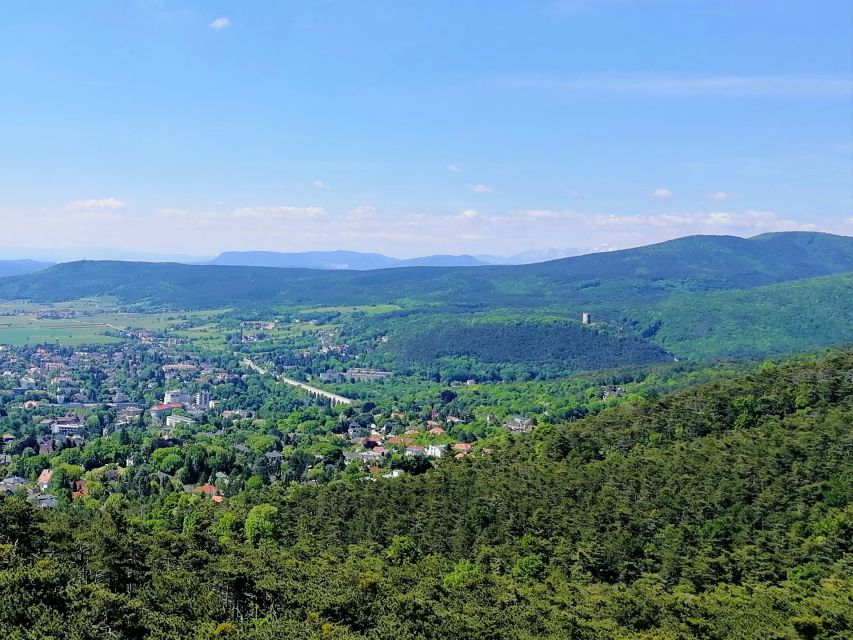 Vienna: Full-Day Vienna Woods Wine Tasting Tour - Who this tour fits best