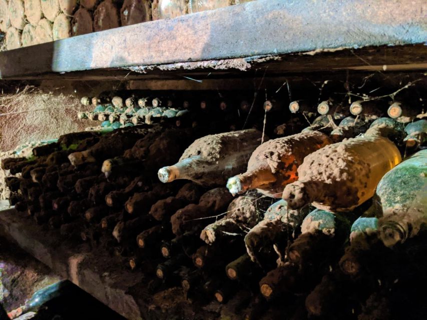 Vienna: Full-Day Vienna Woods Wine Tasting Tour - Getting there from Vienna without wasting the day