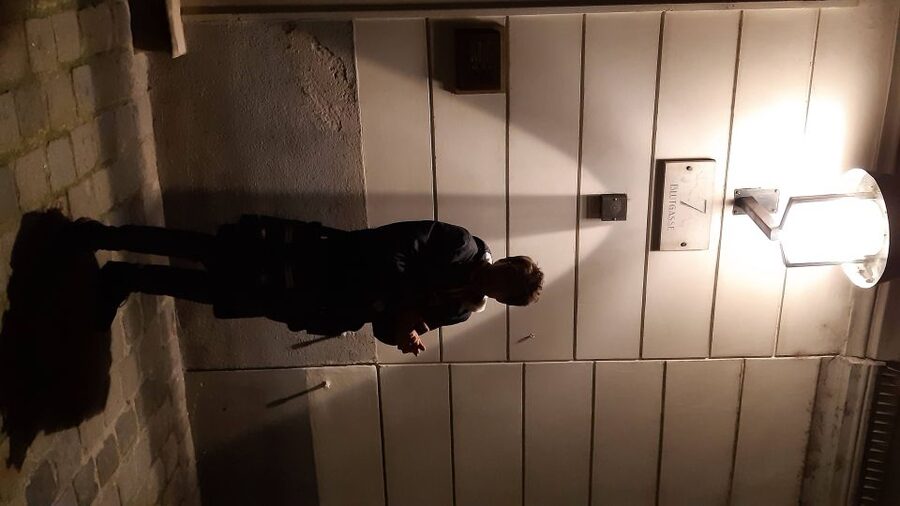 Vienna: German Guided Ghost Tour of Spooky Vienna - Tips to get the most out of the devilish stories