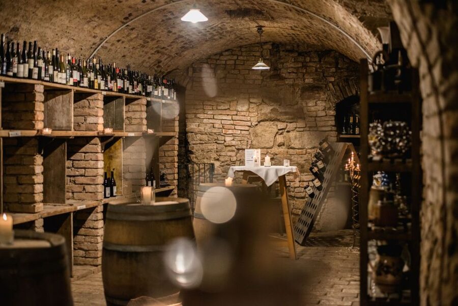 Vienna: Hidden Wine Cellars Tasting Experience - The 150-Minute Rhythm: How the Tour Feels in Real Life
