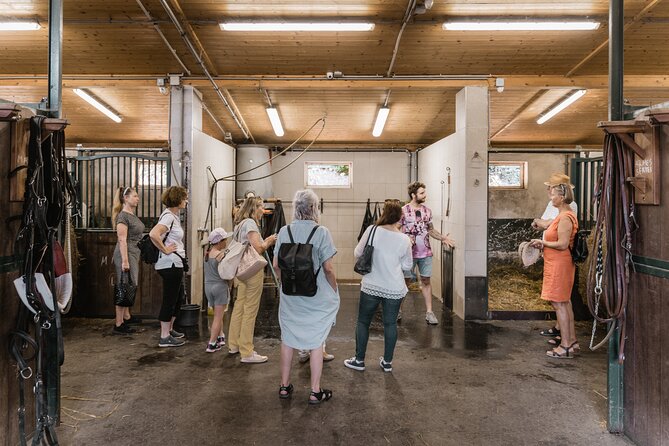 Vienna Horse-drawn Carriage Guided Tour - Vienna Horse-Drawn Carriages, Fiaker Stables, and Why This Tour Works