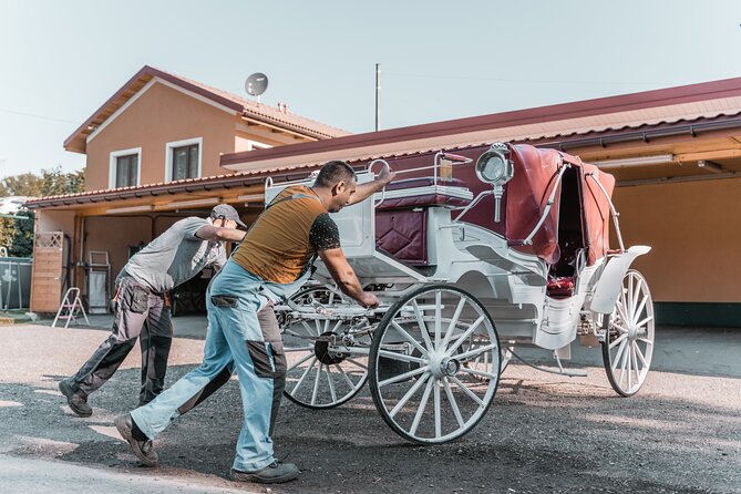 Vienna Horse-drawn Carriage Guided Tour - The Transfer Ride: Suburbs, Culture Mix, and What You Should Expect