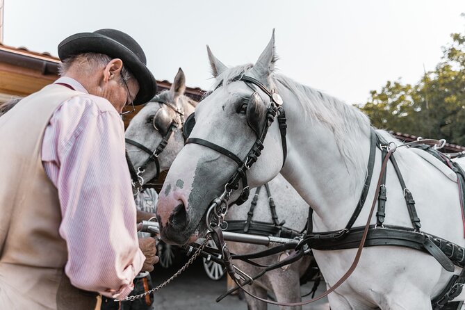 Vienna Horse-drawn Carriage Guided Tour - Schloss Belvedere in Your View: The 3rd District Gets Classier