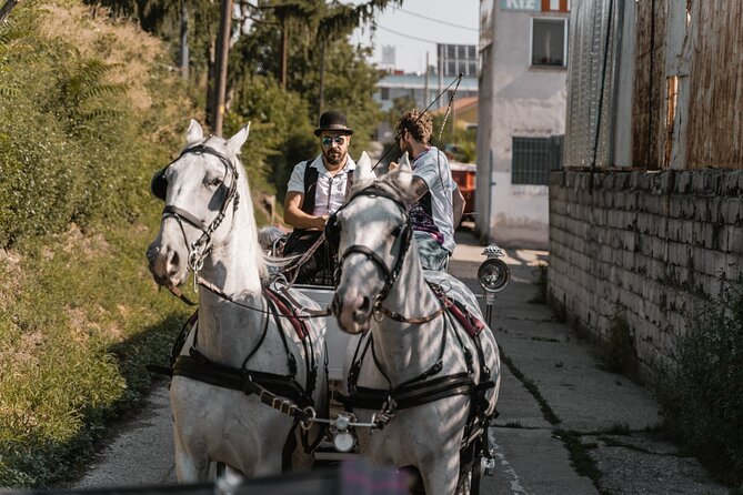 Vienna Horse-drawn Carriage Guided Tour - Hofburg Place: The Royal Palace Moment