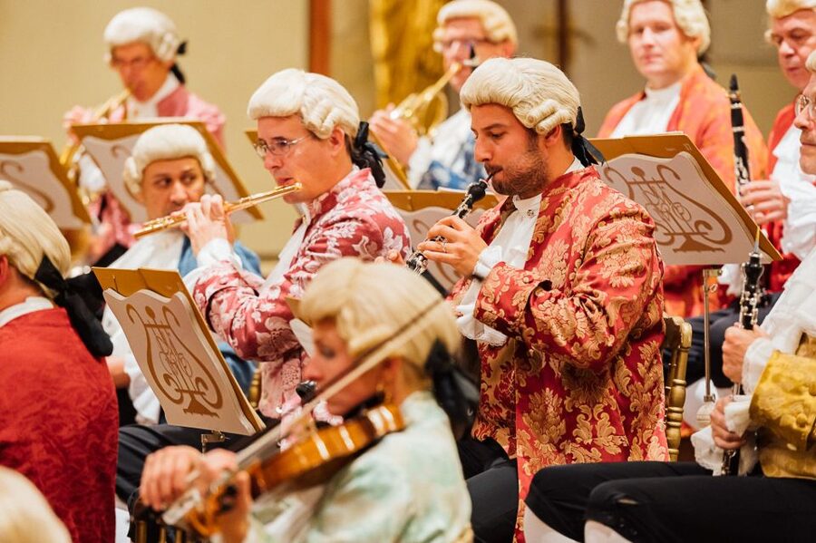 Vienna: Mozart Concert and Austrian Delights Dinner - Seating and hall confusion: protect your view