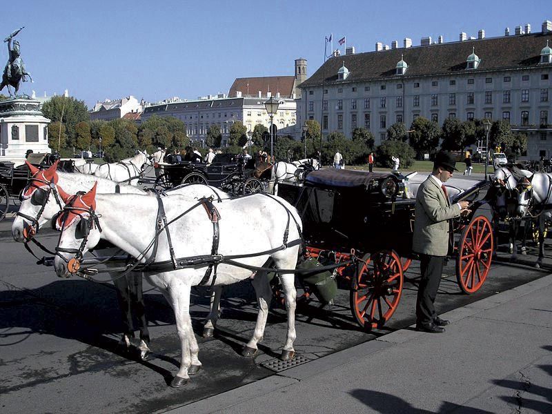 Vienna: Mozart Concert with Dinner and Carriage Ride - Value check on $443: when dinner plus carriage plus VIP seats makes sense