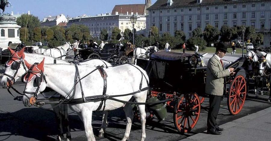 Vienna: Mozart Concert with Dinner and Carriage Ride - The horse-drawn carriage ride through Vienna’s historic center, and the 20-minute reality