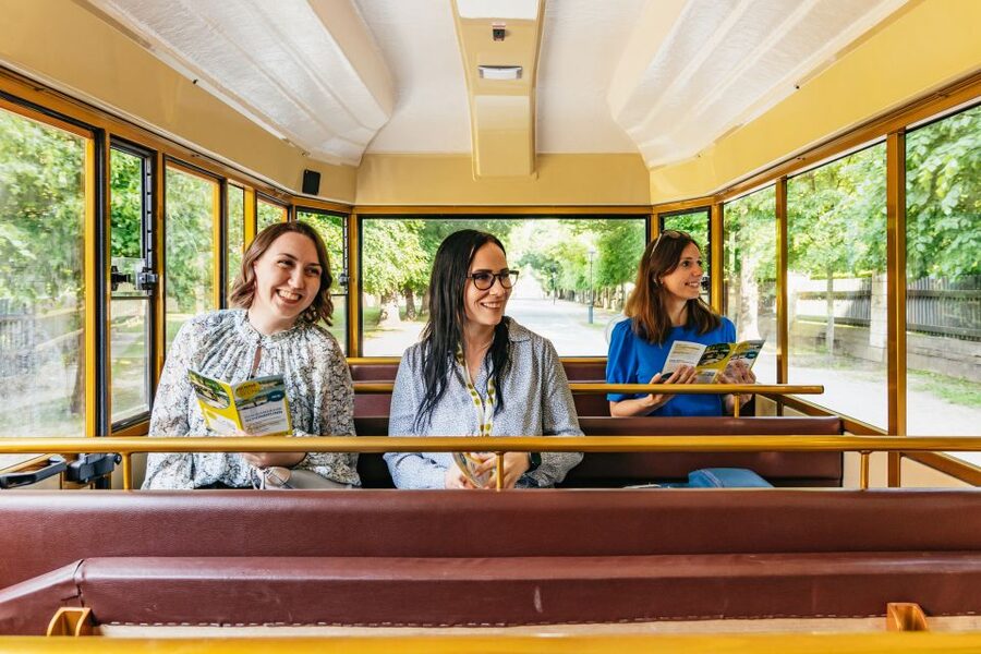 Vienna: Panorama Train Tickets to explore Schönbrunn Palace - Who should book the Panoramabahn Schönbrunn?