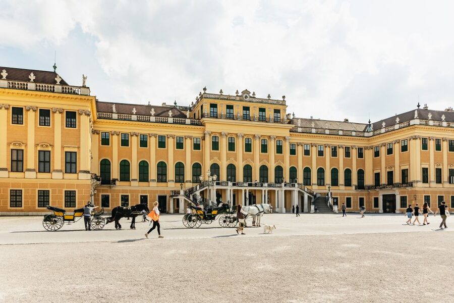 Vienna: Panorama Train Tickets to explore Schönbrunn Palace - Getting on at the right place and avoiding the worst crowds