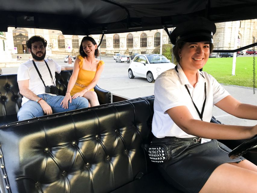 Vienna: Private Electric Car Sightseeing Tour - When a private e-car tour is the right call