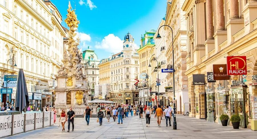 Vienna Private Full Day Tour – Tickets to Schönbrunn & Lunch - Schönbrunn Palace: skip-the-line entry with audioguides, not a guide inside
