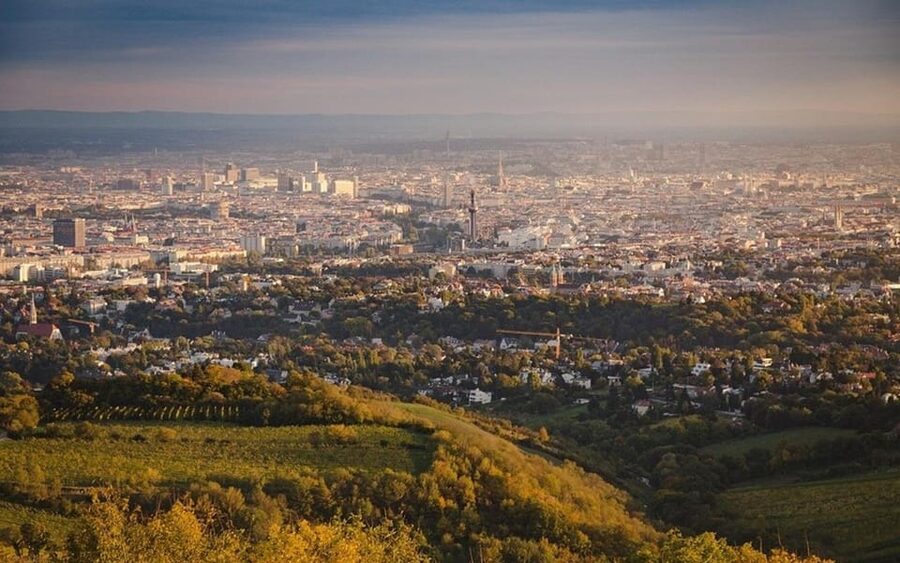 Vienna: Private Half-Day Sightseeing Tour - Kahlenberg and Vienna Donauturm, Stretching Beyond the Center