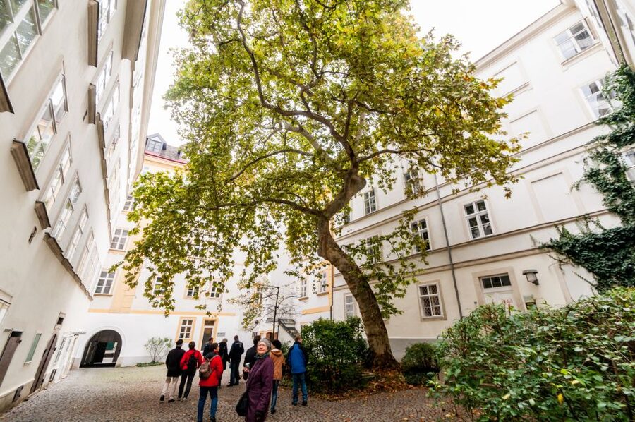 Vienna: Romantic Old Town 2-Hour Discovery Tour - The Old University Quarter and Jesuit Quarter, Baroque Power in a Small Space