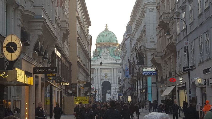 Vienna: Schönbrunn Palace and City Center Guided Tour - From the Opera House Exterior to St. Steven Cathedral Photo Stops