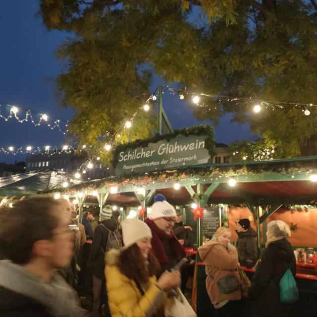 Vienna: Schönbrunn Palace & Christmas Market Walking Tour - Quick Practical Tips That Save You Time