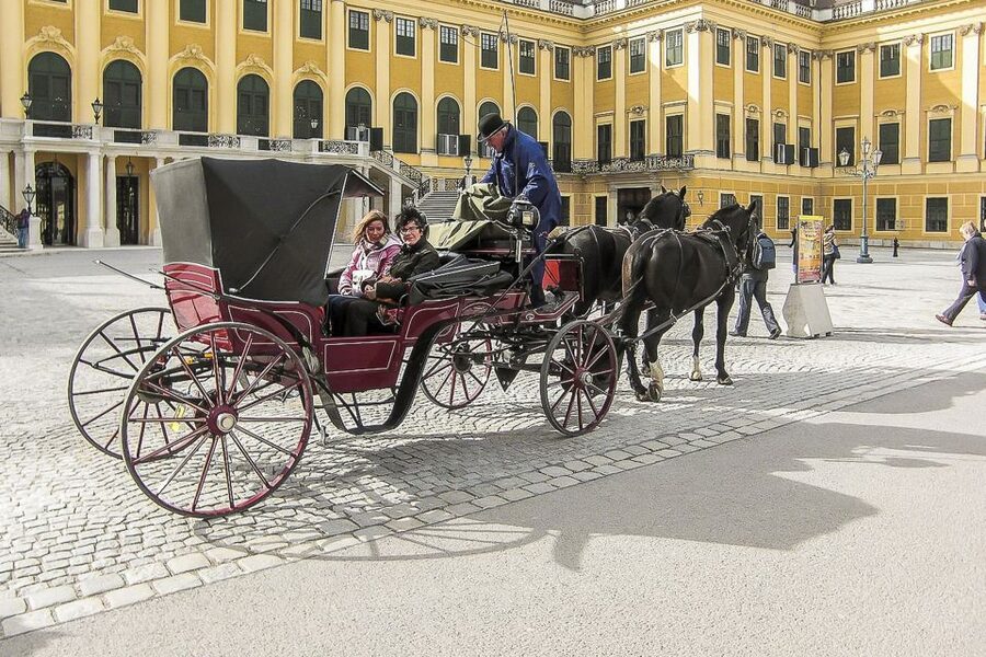 Vienna: Schönbrunn Palace & Gardens Skip-the-Line Tour - Gardens after the rooms: Gloriette views without rushing