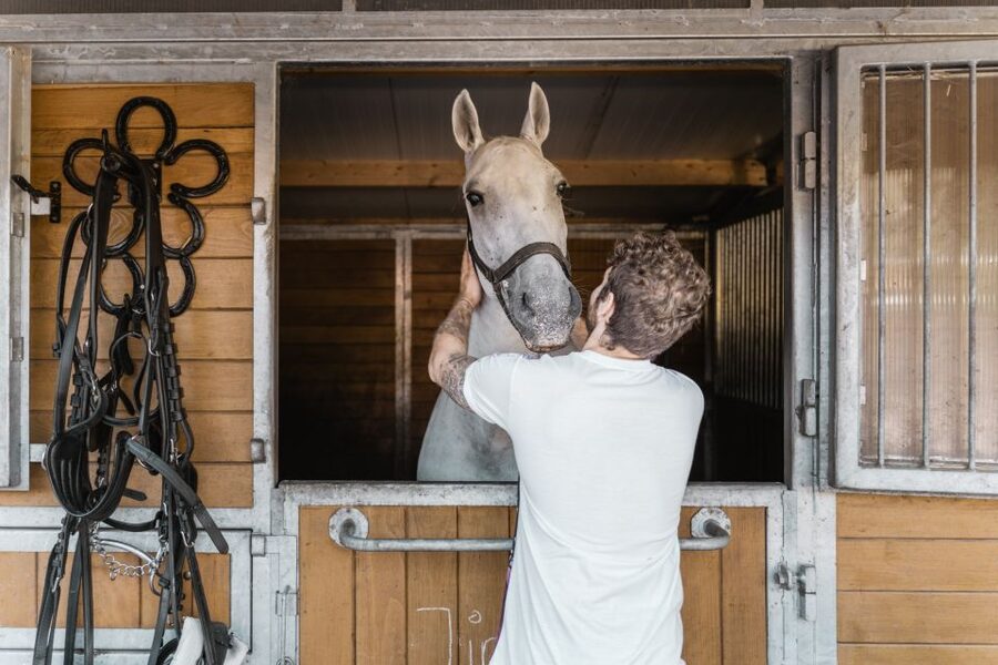 Vienna: Secrets of the Fiaker & Horse-Drawn Carriage Ride - Key Things to Know Before Your Fiaker Stable Tour