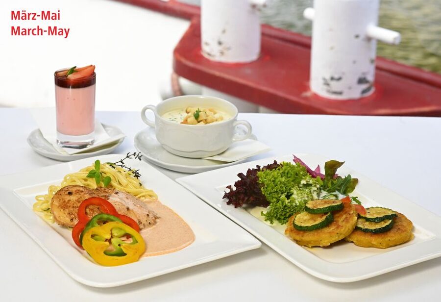 Vienna: Sightseeing Boat Tour with Lunch - Who should book this Vienna boat tour with lunch?
