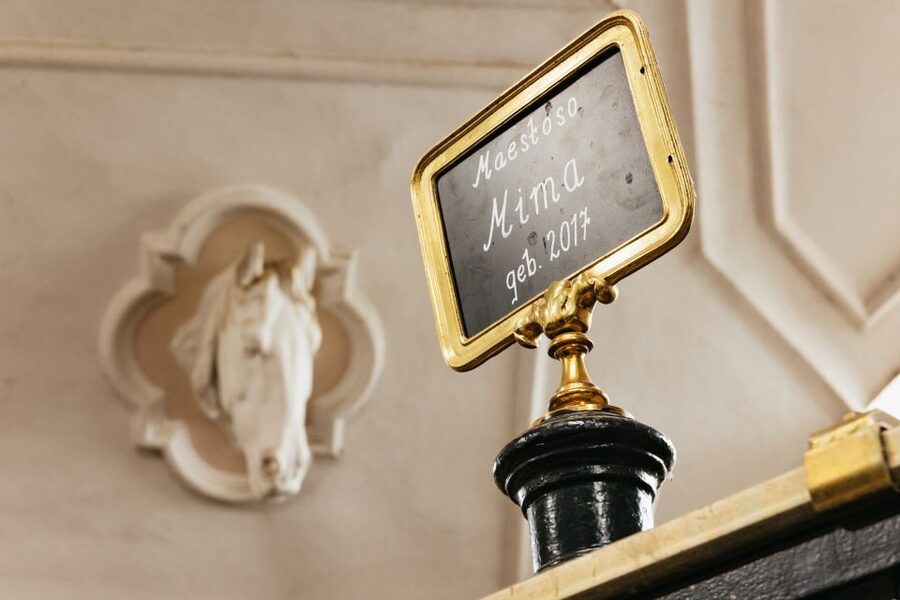 Vienna Spanish Riding School Guided Tour - Who should book, and who might feel disappointed