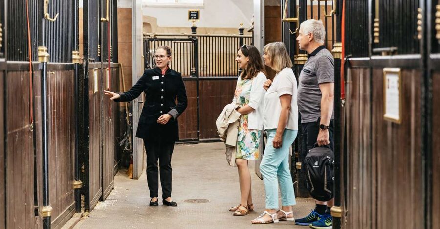 Vienna Spanish Riding School Guided Tour - Spanish Riding School in 55 minutes: what you really see