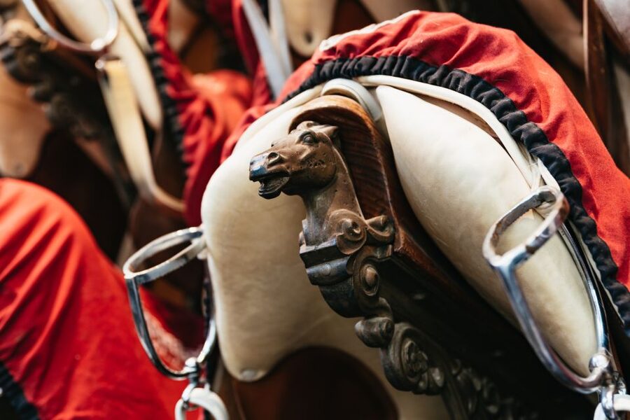 Vienna Spanish Riding School Guided Tour - Stallburg arcade courtyard and the Lipizzaner stables