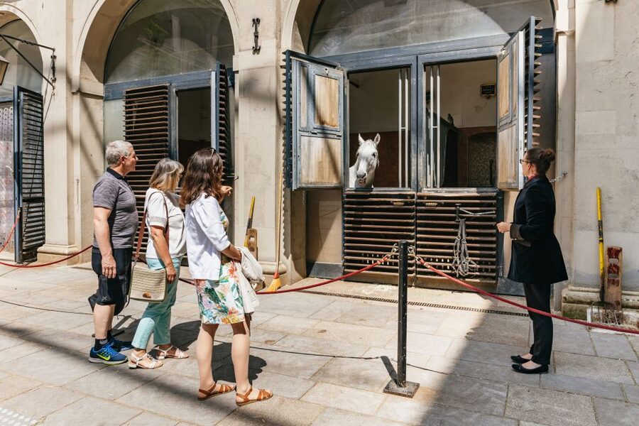 Vienna Spanish Riding School Guided Tour - The guide experience: pace, Q&A, and how to hear it all