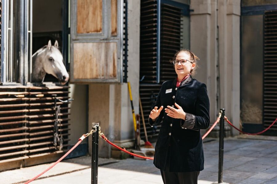 Vienna Spanish Riding School Guided Tour - Price and value: why $28 can feel like a bargain