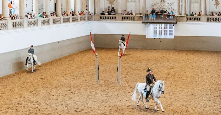 Vienna: Spanish Riding School Training - The morning exercise itself: what happens during that one hour